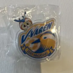 V・ファーレン長崎 クリップ