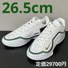 ナイキ レブロン23 ホワイト グリーン ポイントフォワード 緑 白 27.5