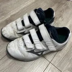 ミズノ　24.5cm トレーニングシューズ