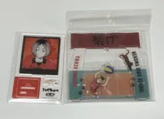ハイキュー 孤爪研磨 ポートレートスタイルZOOMY ゆらゆら アクリルスタンド
