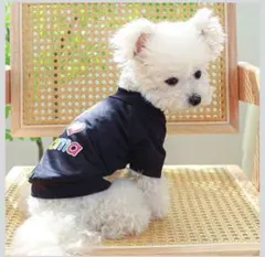 ペット服 犬服 Tシャツ 春夏秋 通気性 ドッグウェア パーカー Mサイズ　新品のサムネイル