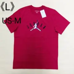 [新品] NIKE ナイキ JORDAN ジョーダン ジャンプマン Tシャツ L