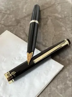 PILOT 万年筆 カスタム742 ブラック EF 極細字 - メルカリ
