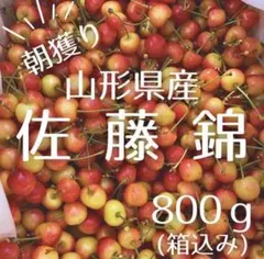a99フルーツ王国　山梨県産 佐藤錦 さくらんぼ　家庭用 ￼ a99フルーツ王国 山梨県産 佐藤錦 さくらんぼ 家庭用 箱込み800 - メルカリ