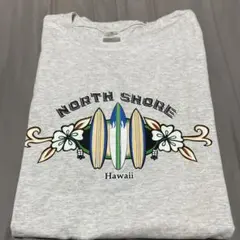 anvil ハワイ ノースショア Tシャツ Lサイズ グレー 新品未使用