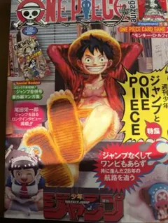 ONE PIECE 特集雑誌 付録カード付き　ワンピース　マガジン　新品　未開封