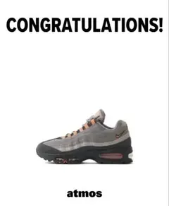 値下げ不可 NIKE AIR MAX 95 BIGBUBBLE HOT CURR