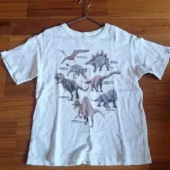 UNIQLO キッズ 恐竜プリント Tシャツ