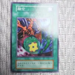 遊戯王 融合 初期ノーマル 絵違い - メルカリ