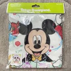 【未開封】ディズニーランド ウォッシュタオル