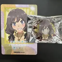 青春ブタ野郎 カラ鉄 コラボ 姫路紗良 アクリルストローチャーム カード