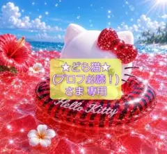 ★どら猫★ (プロフ必読！)さま 専用