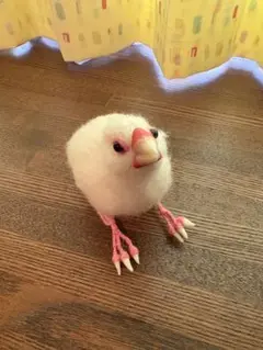 羊毛フェルト 白文鳥　置物