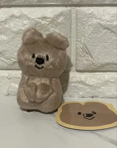 クオッカちゃん