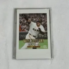 ジャイアンツ ファンフェスタ