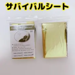 Item thumbnail for item 999b7deb-a974-4517-b883-6b5360c15724