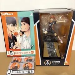 R*゜様 ハイキュー ハッピーくじ 日向翔陽 フィギュア アクリルパネル 缶バッ