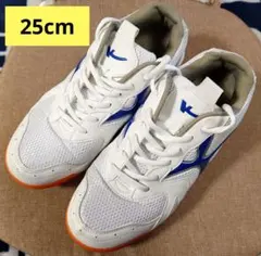 体育館シューズ　25.0