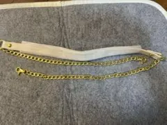 Item thumbnail for item 27d03be0-37b7-45a1-bcf9-31f10b50e40c