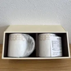 COACH マグカップ 2個セット 未使用