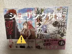 にゃんころ様 リクエスト 2点 まとめ商品 - メルカリ