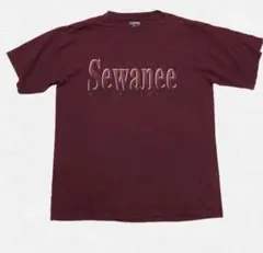 90s USA製 JanSport Sewanee カレッジTシャツ L