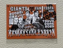 2025年最新】2002 ジャイアンツの人気アイテム - メルカリ