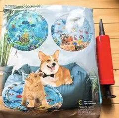 猫犬ウォーターマット　イルカ　新品のサムネイル