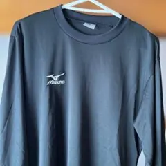 Item thumbnail for item 3b62b473-04f7-4916-89fe-3933b0ba8f3c