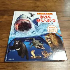 Item thumbnail for item 32991568-bd3f-4ae2-b86d-cecc54ff7214