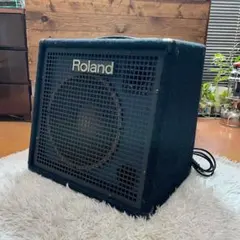 2026年最新】roland KC-100の人気アイテム - メルカリ