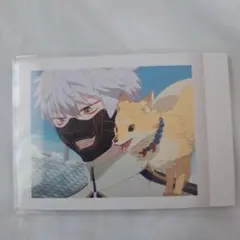 鳴狐 特 刀剣乱舞花丸 ぱしゃこれ カード 雪ノ巻 雪月華 とうらぶ