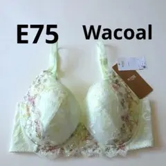 Item thumbnail for item d722cf27-2284-4068-a6c7-42b747b7ae5b