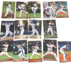 【2008年・セ・リーグ】プロ野球チップスカード