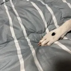 テスト