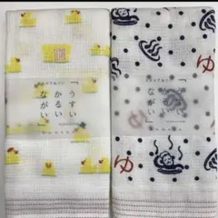 新品　布ごよみ　タオルてぬぐい　あひるちゃん　温泉ざる　スイカ　今治　タオルのサムネイル