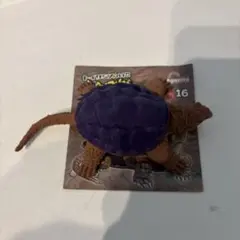 アンドコオオタマガメ