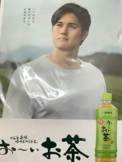 大谷翔平　お〜いお茶 クリアファイル