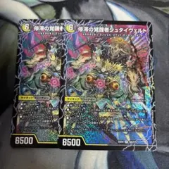 停滞の覚シュタイヴェルト/時空の停滞シュタイヴァル SR