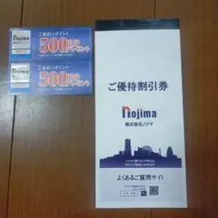 ノジマ　株主優待