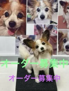 羊毛フェルトオーダー募集中❣️犬