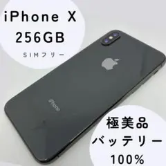 【極美品】iPhone X 256GB ブラック SIMフリー　電池100%