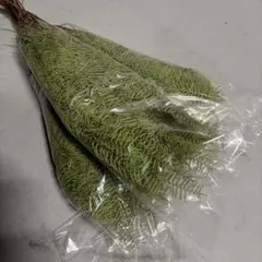 annn様 リクエスト 2点 まとめ商品