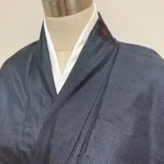 KN5035 大島紬 身丈167cm 着物 正絹 トールサイズ