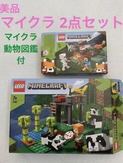 2025年最新】レゴ 21162の人気アイテム - メルカリ