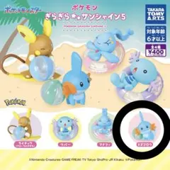 ポケモン ぎらぎらサンシャイン5 ミズゴロウ