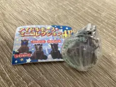 アイドルホース ミニコレクション アルマヴェローチェ