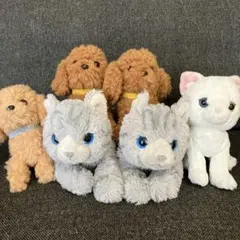 サンレモン ネコぬいぐるみ 7体セット Sunlemon 猫 まとめ売り - メルカリ