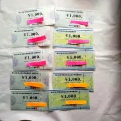 ビックカメラ コジマ 株主優待 10.000円分