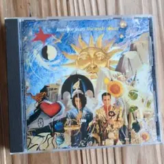 Tears for Fears The Seeds of Love CD